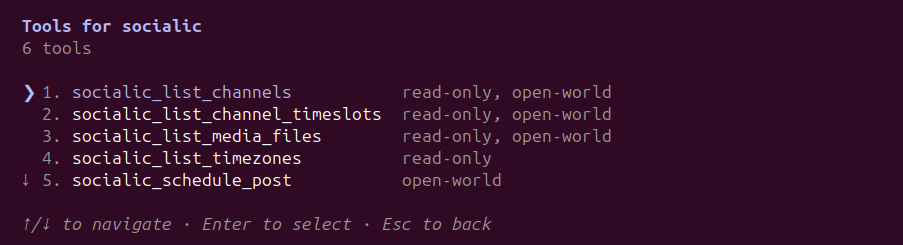 Claude Code's Tools for socialic screen, listing socialic_list_channels, socialic_list_channel_timeslots, socialic_list_media_files, and socialic_list_timezones as read-only tools, plus socialic_schedule_post, with a scroll indicator showing more below